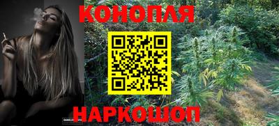 гидра Тара