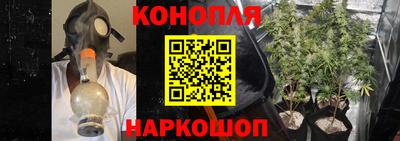 гидра Тара