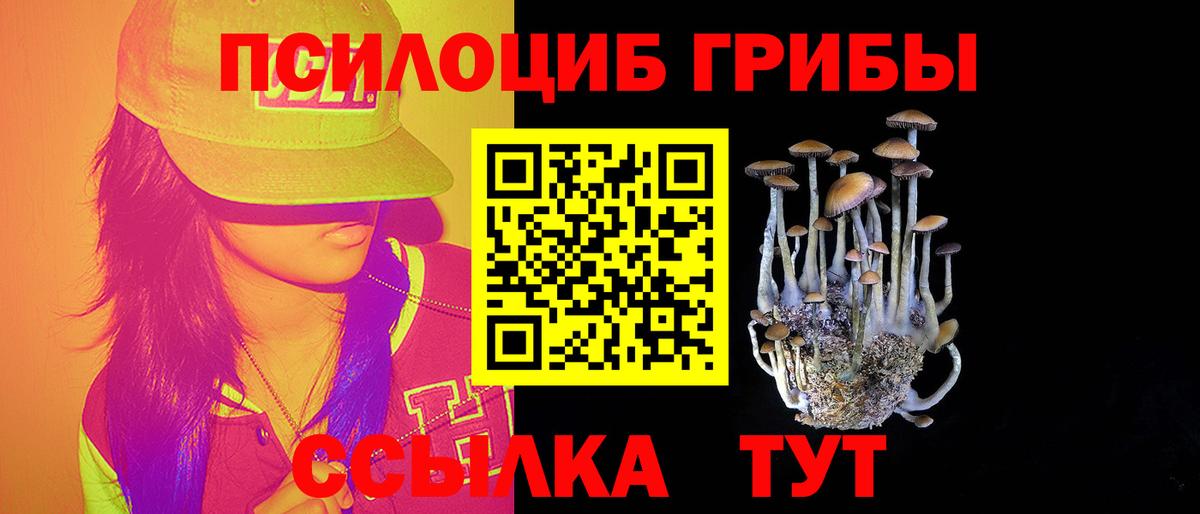 Галлюциногенные грибы мицелий Новодвинск